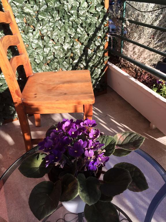 Acomodação com café da manhã  Shelisa B&B